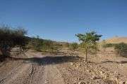 EILAT HALF MARATHON DESERT RUN 2012
